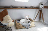 Luxury Dog Eiderdown - Grey / Grey