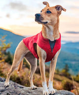 K9 Core Dog Sweater - Heather Red
