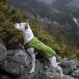 Loft Dog Jacket - Magenta / Petal Pink