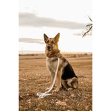 Macramé Dog Leash with Leather Handle - Natural