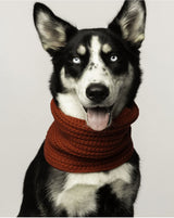 Red Infinity Dog Scarf