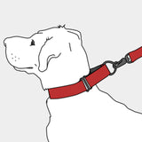 Cody Medium Width Martingale Dog Collar