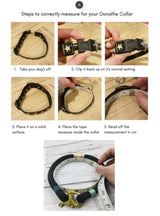 Petite Rope Dog Collar - Northern Lights