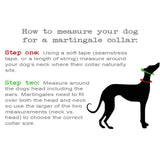 Humble Hearts Extra Wide Martingale Dog Collar