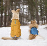 Loft Dog Jacket - Magenta / Petal Pink