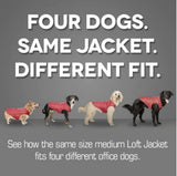 Loft Dog Jacket - Fall Festival