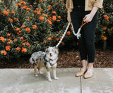 Macramé Dog Leash with Leather Handle - Natural