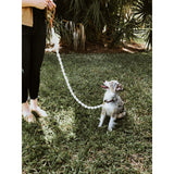 Macramé Dog Leash with Leather Handle - Natural