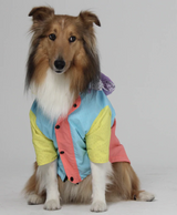 Pastel Dog Raincoat