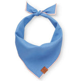 Periwinkle Dog Bandana