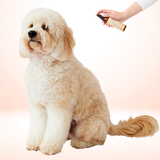 Calm Pup Freshening Dog Spritz