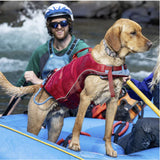 Surf N Turf Red Dog Life Jacket