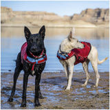 Surf N Turf Green Dog Life Jacket