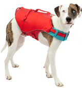 Surf N Turf Red Dog Life Jacket