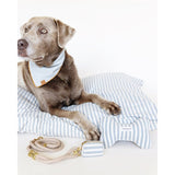Upcycled Denim Dog Bandana