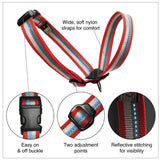 Walk About Head Halter
