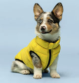 Yellow & Grey Pack N' Go Reversible Dog Puffer