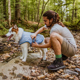 Core Cooling Dog Vest
